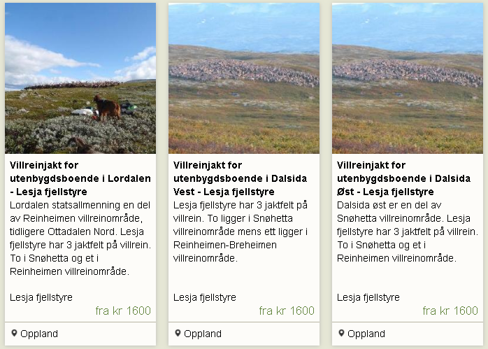 Villreinjakt for utenbygdsboende 2019 - Søknad via Inatur