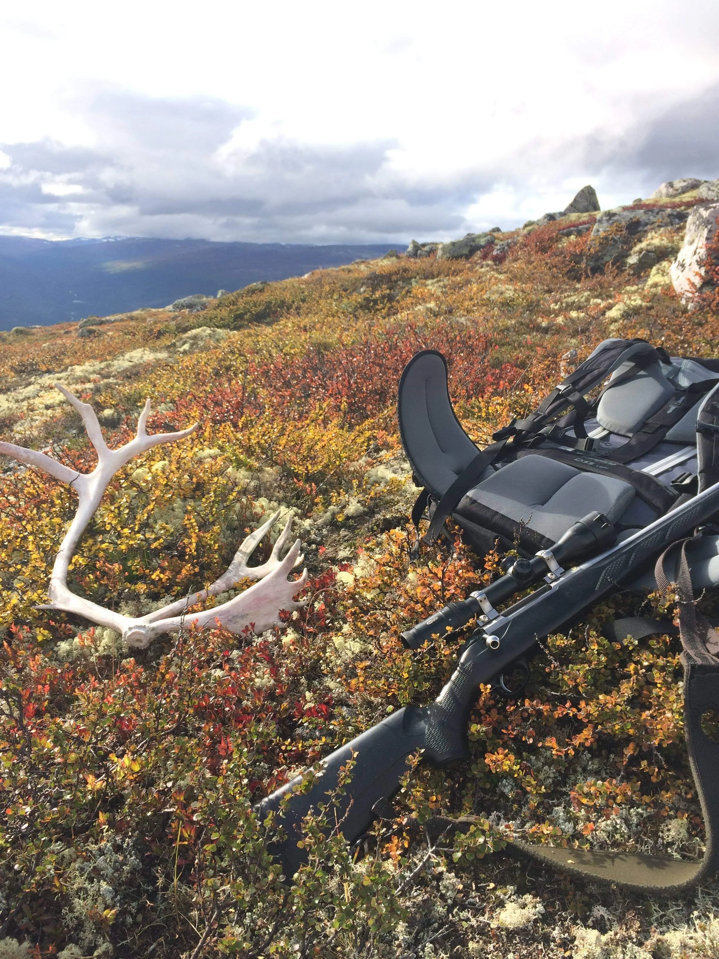Trekningslister - Villrein, elg og hjort 2022