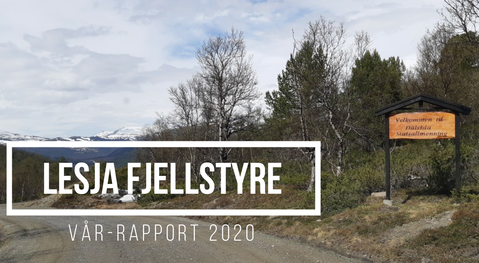 Vår-rapport 2020
