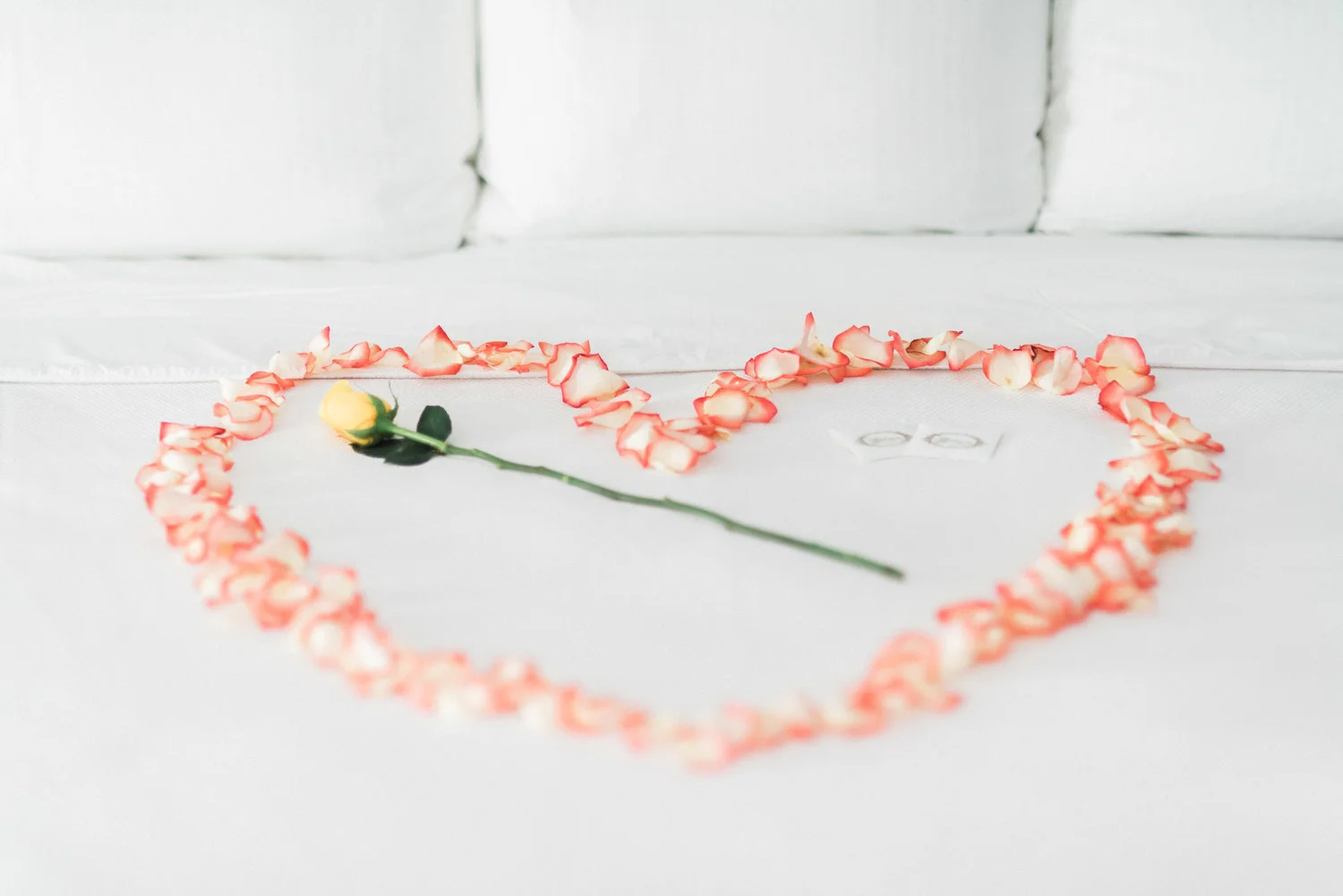 msp_Lauren_Ken_Wedding_4_23_16-999+(1).jpg