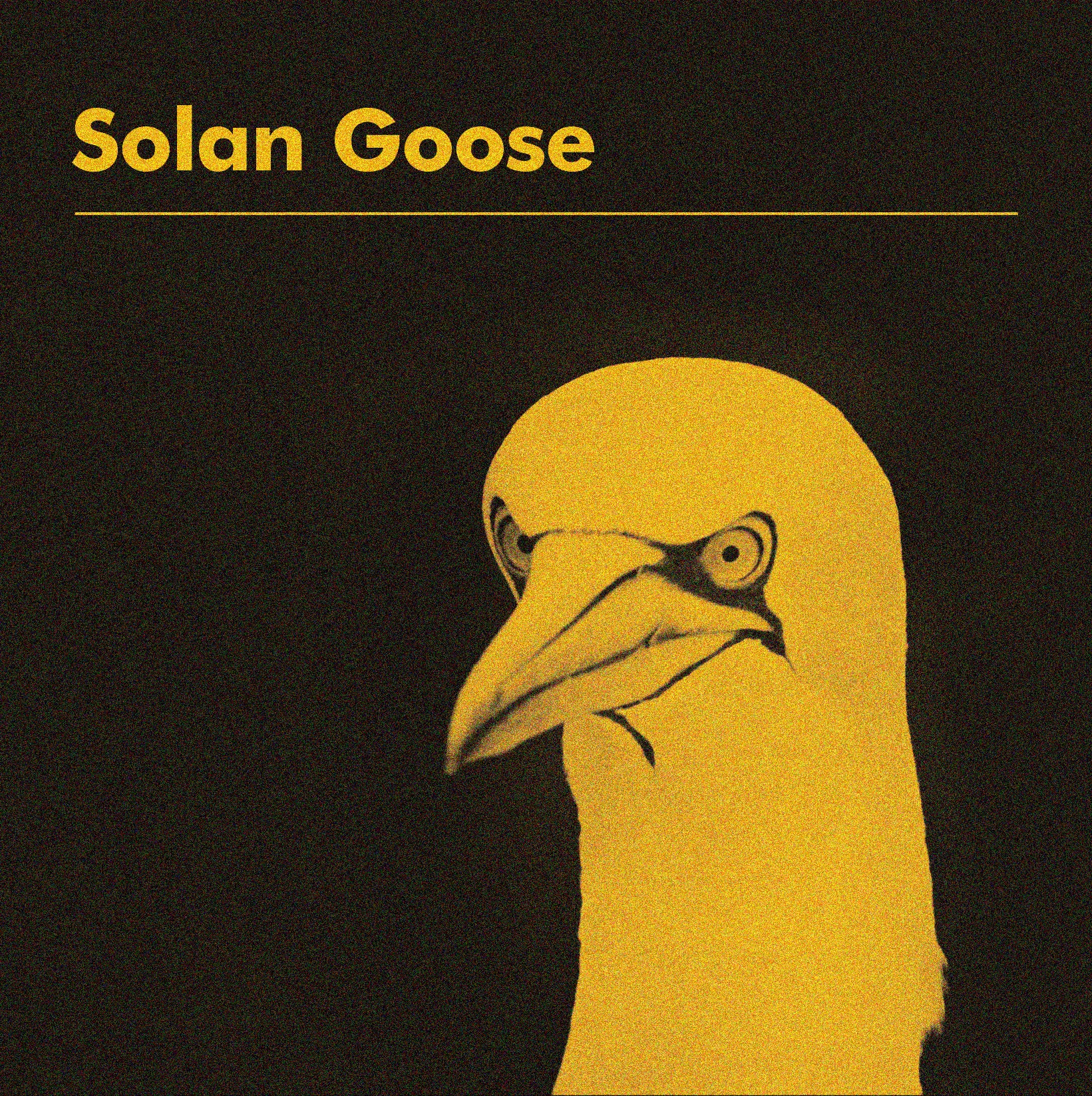 ALBUM SOLANGOOSE_ARTWORKFINAL_DIGITAL (1).jpg