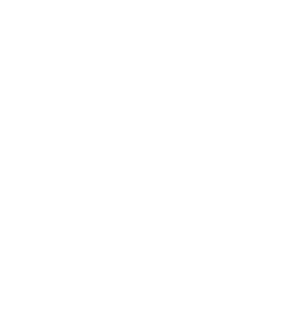 est2017_raf_logo_weiss_transp.png