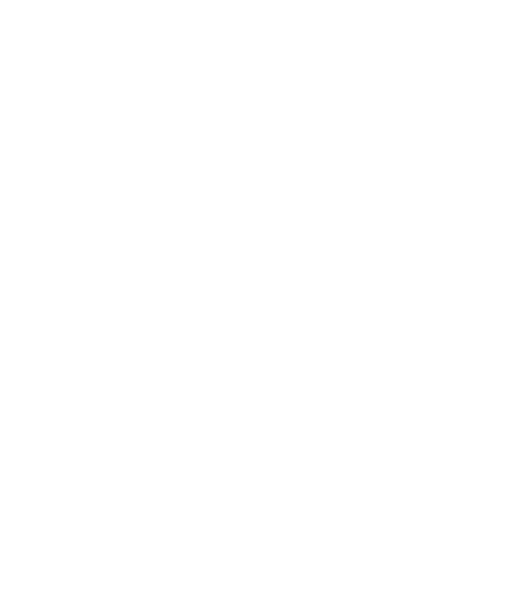 Nefeli-logo-white-2.png