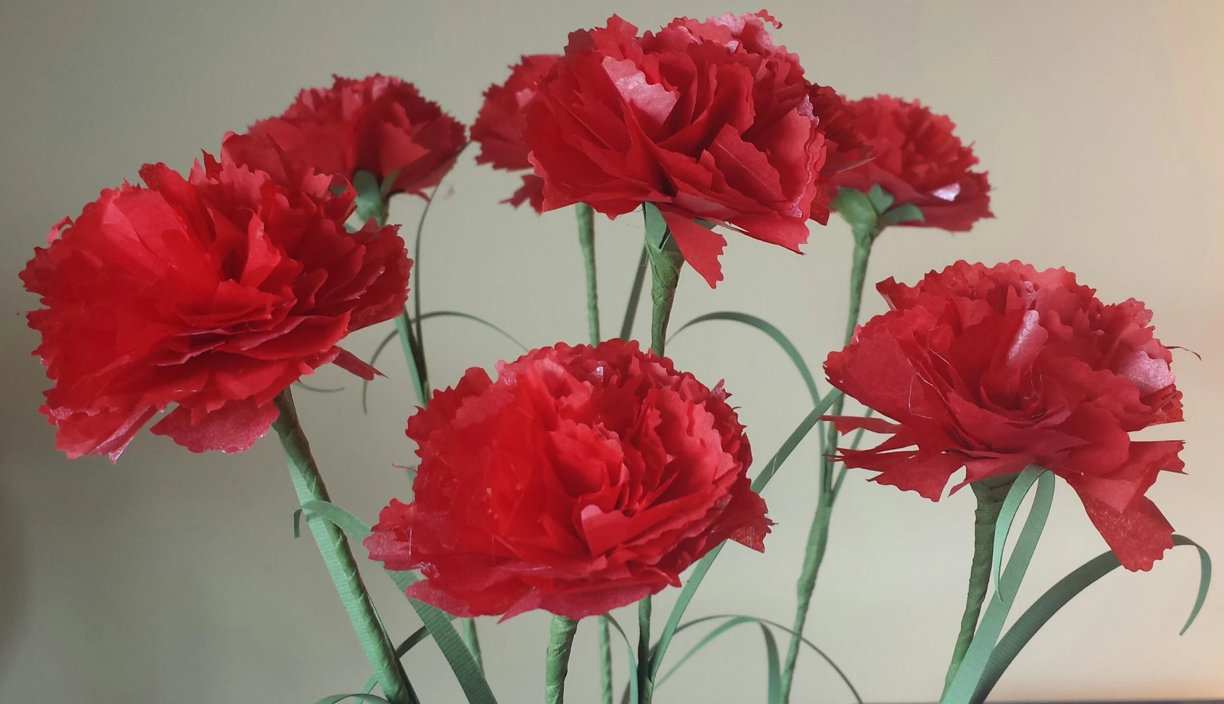 Red Carnations