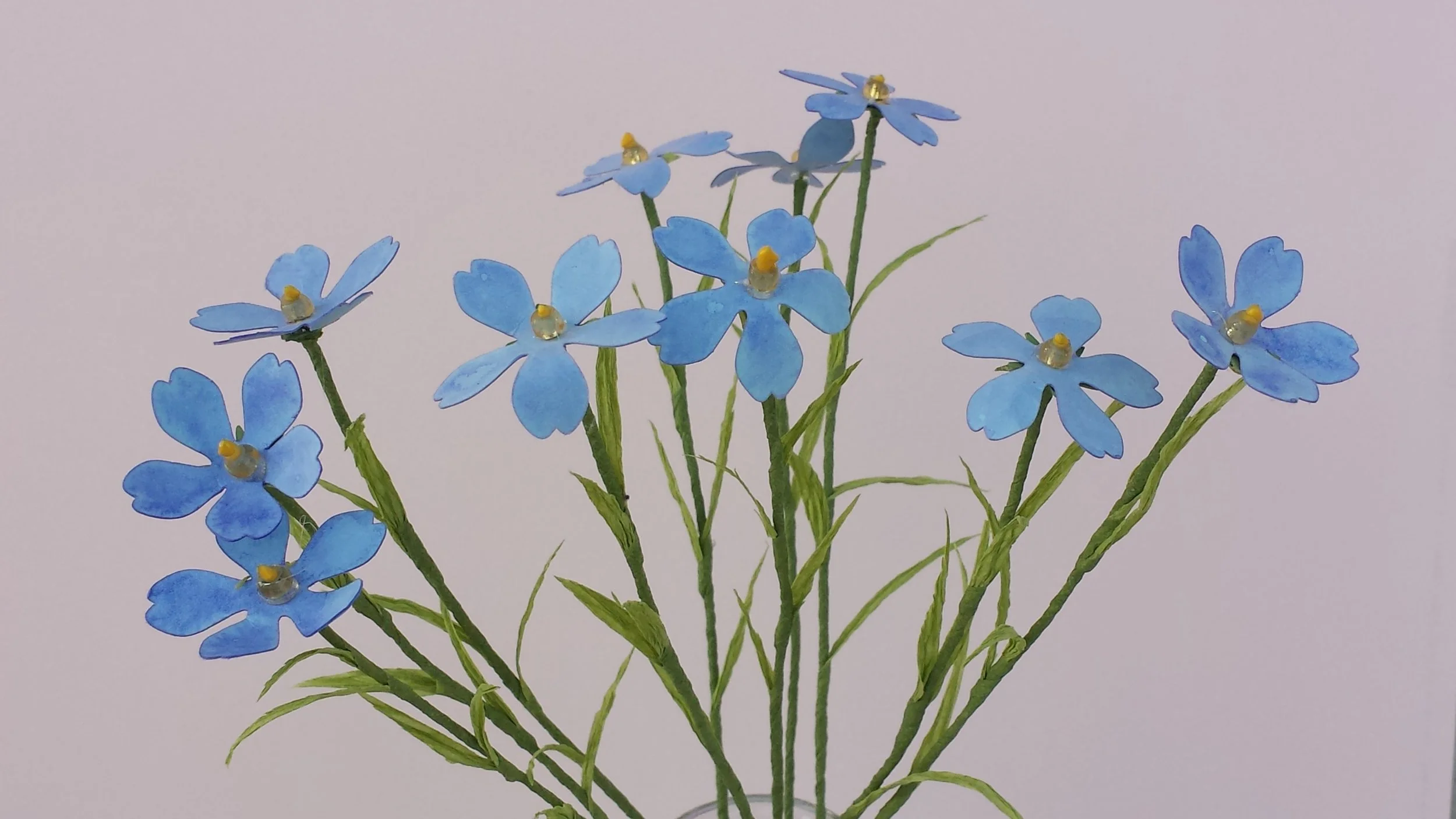 Blue Phlox