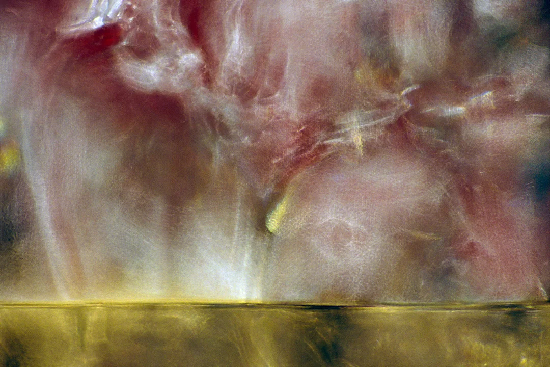 Alyson Denny, Cabinet Glass Sessions #11, pigmented inkjet print.