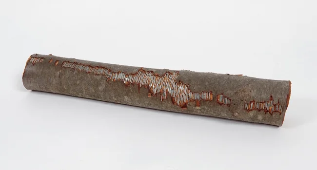Untitled (SC 2014- 6) , 2014 log,textile, metal staples 3.5 x 16 x 3.5 inches Photo by Alan Wiener