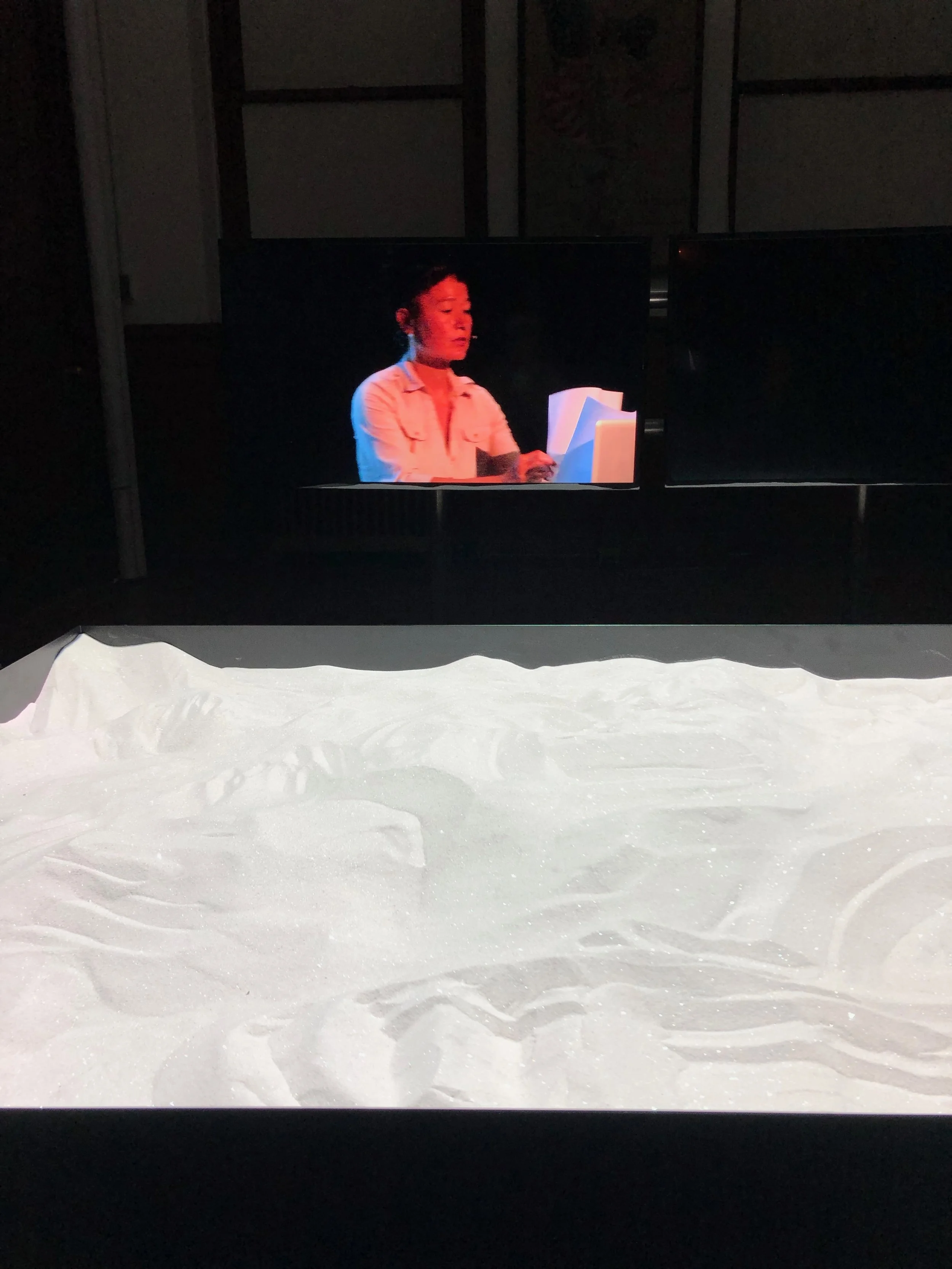 Steyerl at the lectern