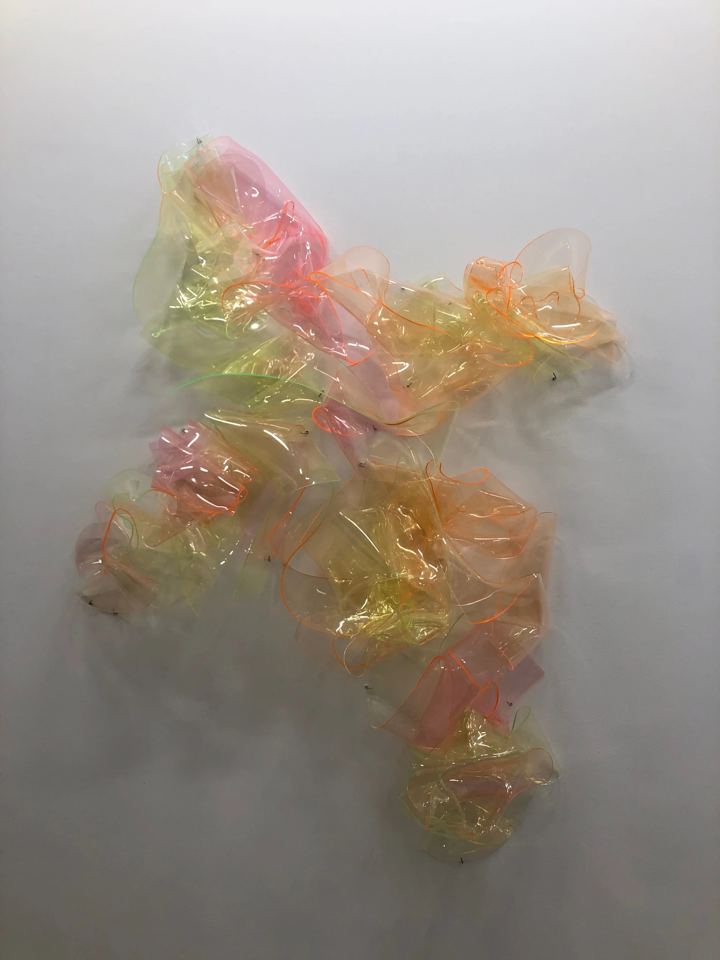 Sokal , 2018