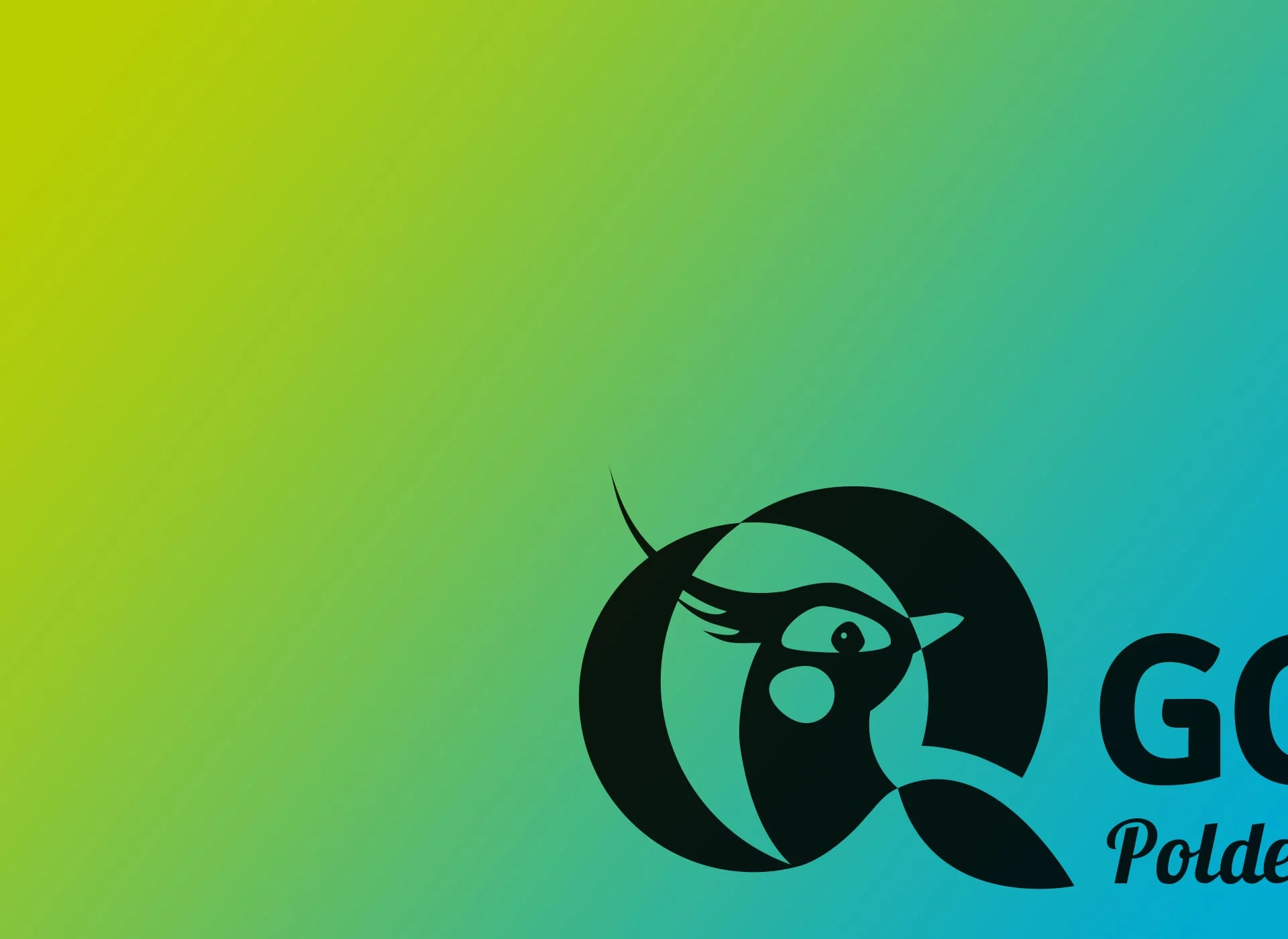 header_MG_01.jpg