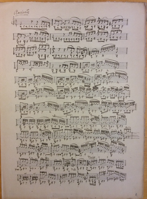 Anzoletti_Manuscript.jpeg