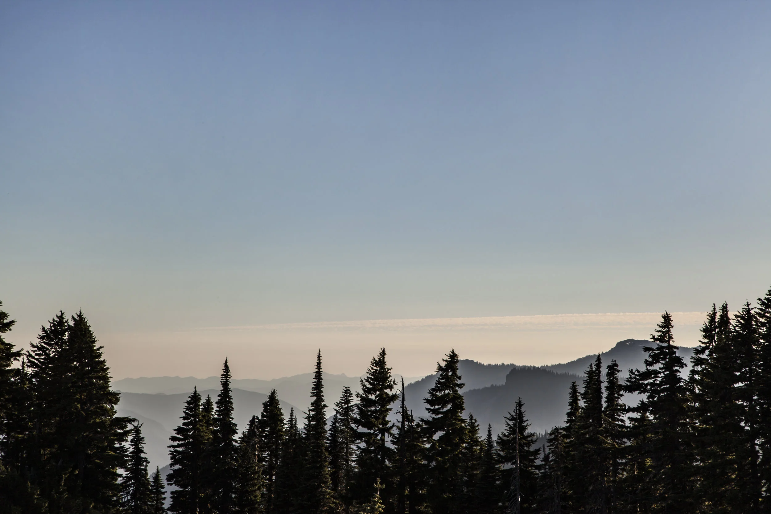 _MG_0059.jpg