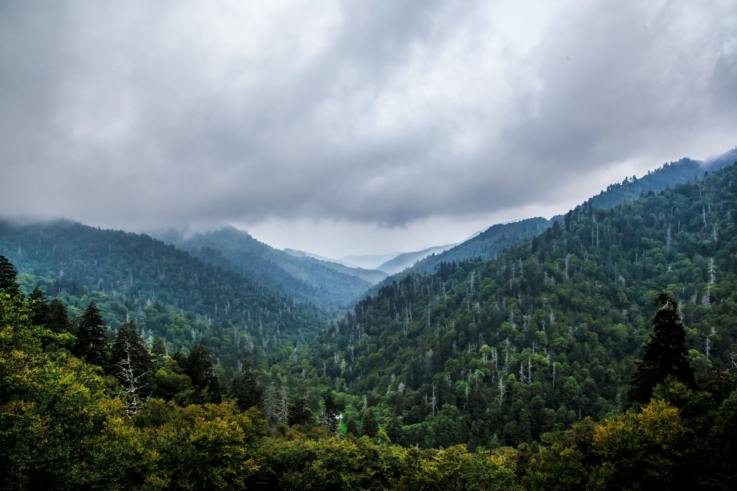 _MG_0898.jpg