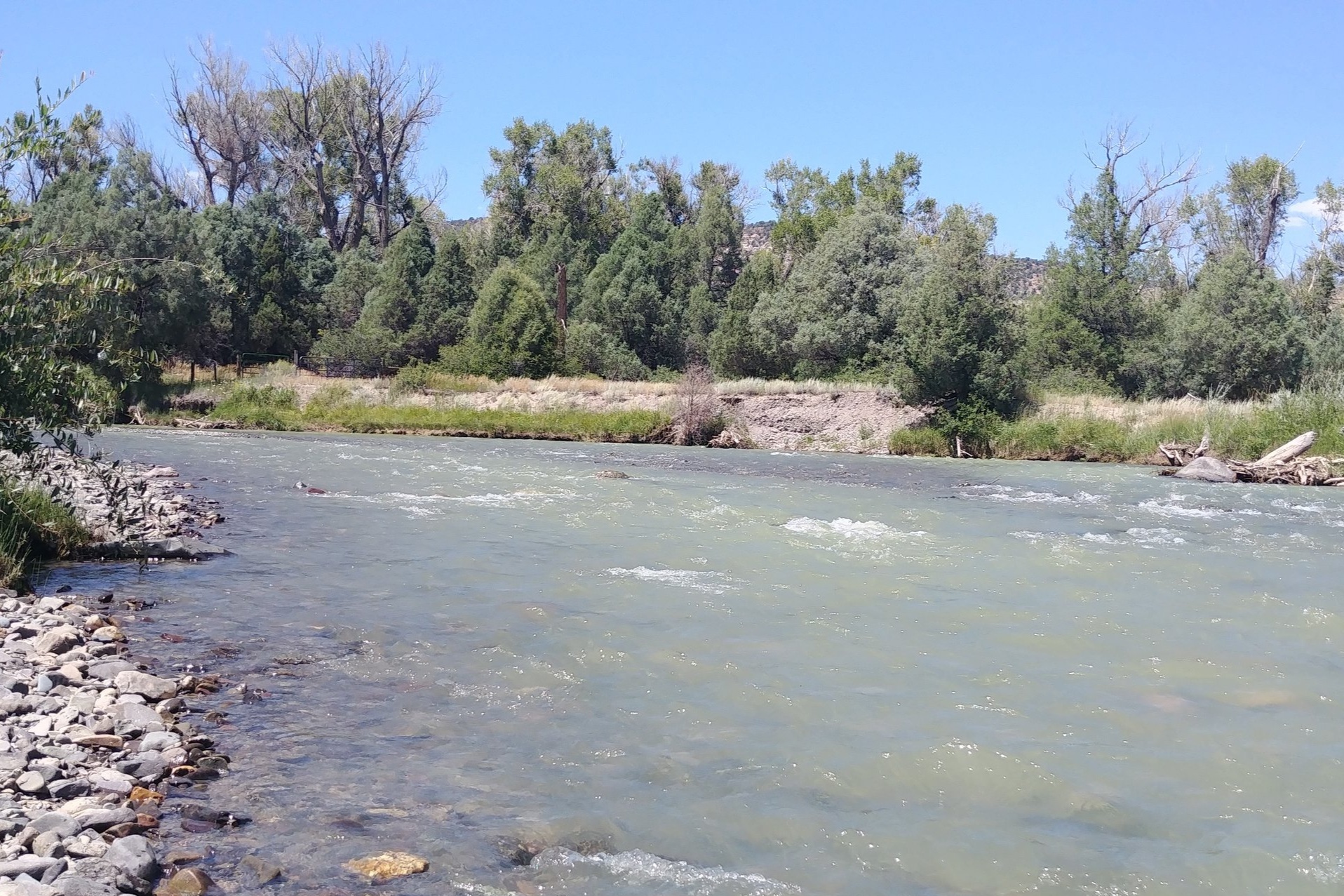 River.jpg
