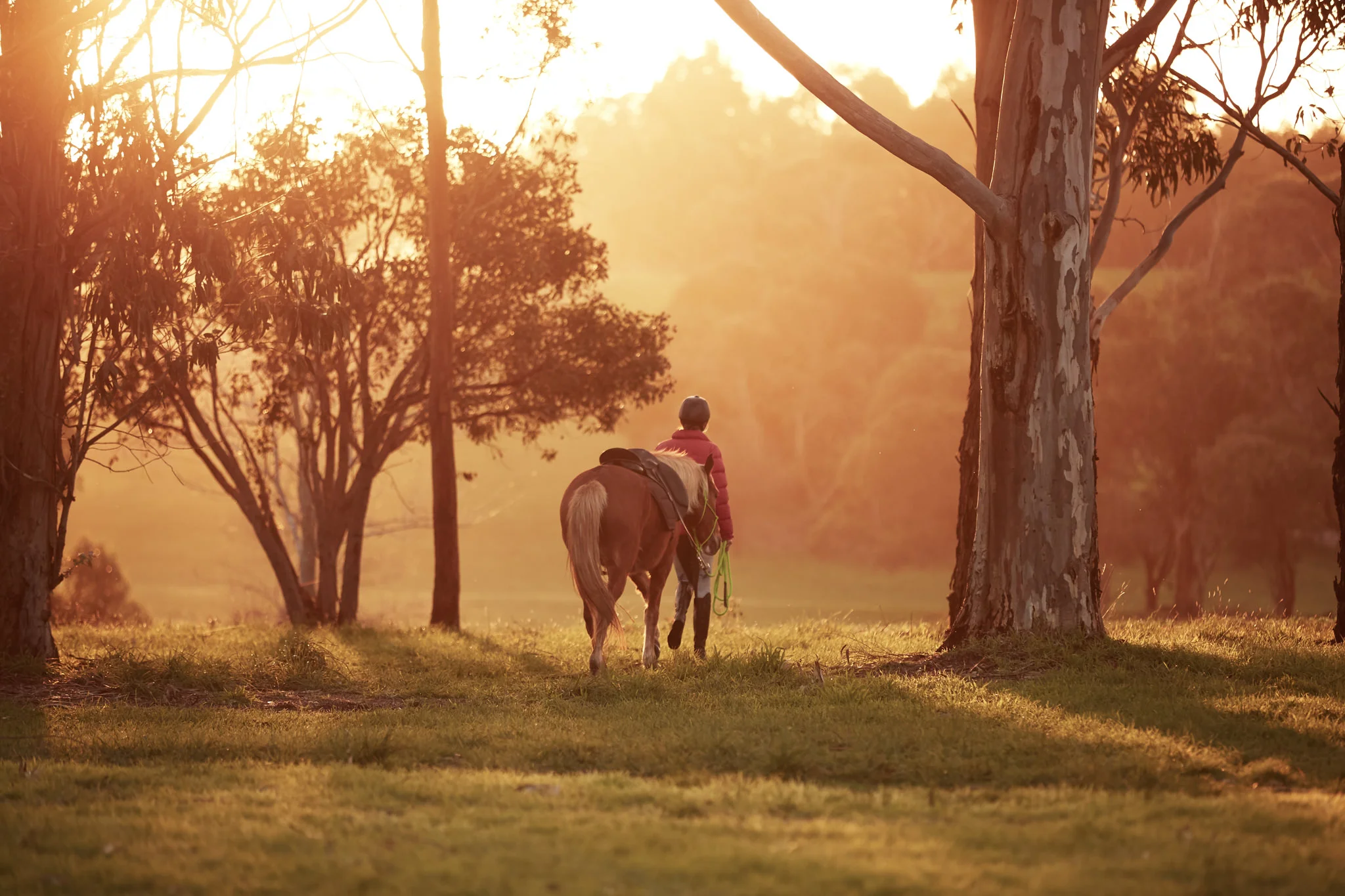 Equitana-Brumby-Challenge-4th-Aug-1805-W1-004.jpg