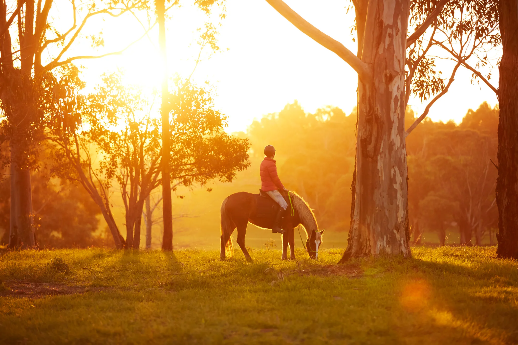 Equitana-Brumby-Challenge-4th-Aug-1822-W1-007.jpg