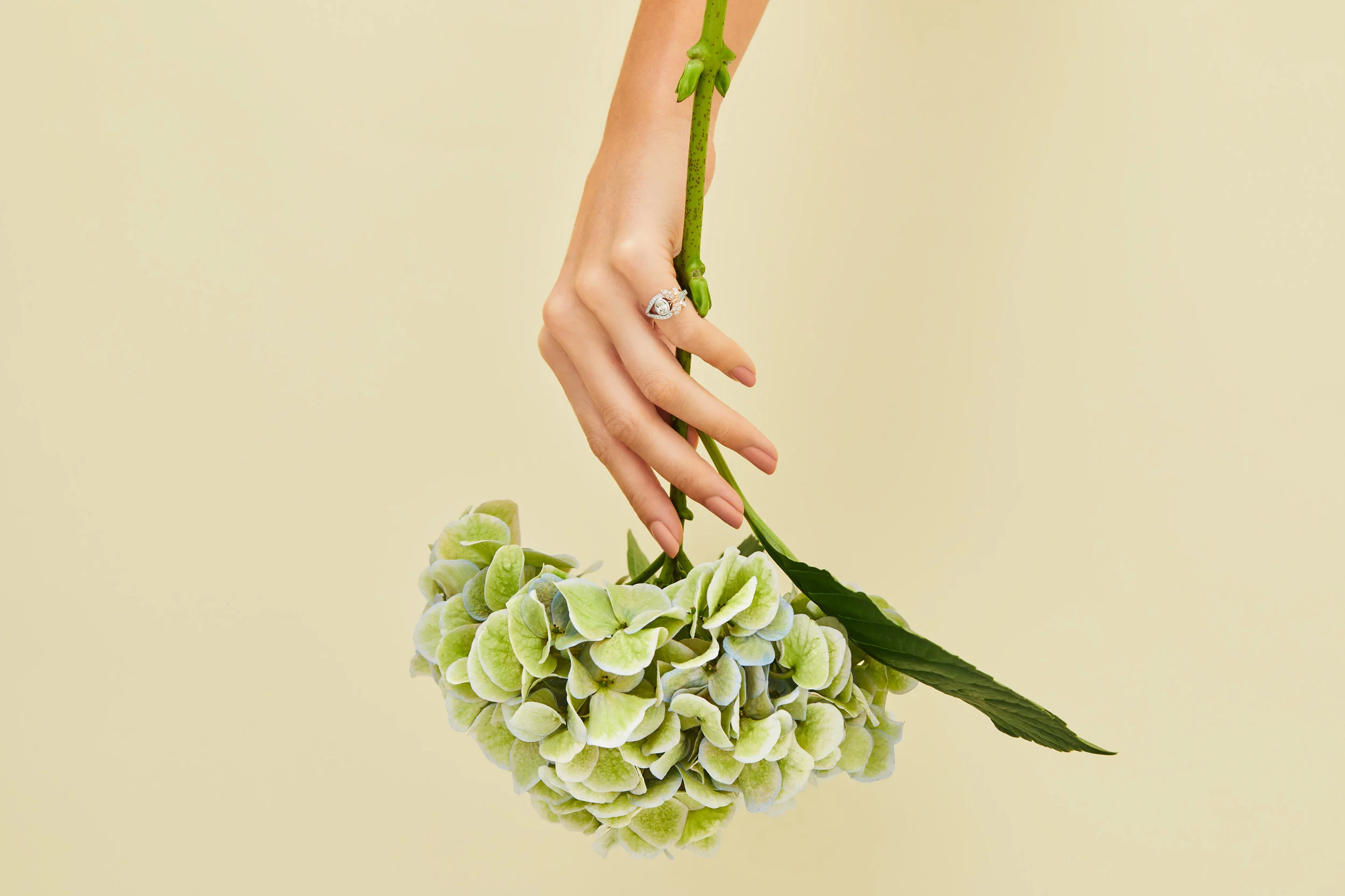 Butterfly-Ring-Yellow_055+_AMENDSV2.jpg