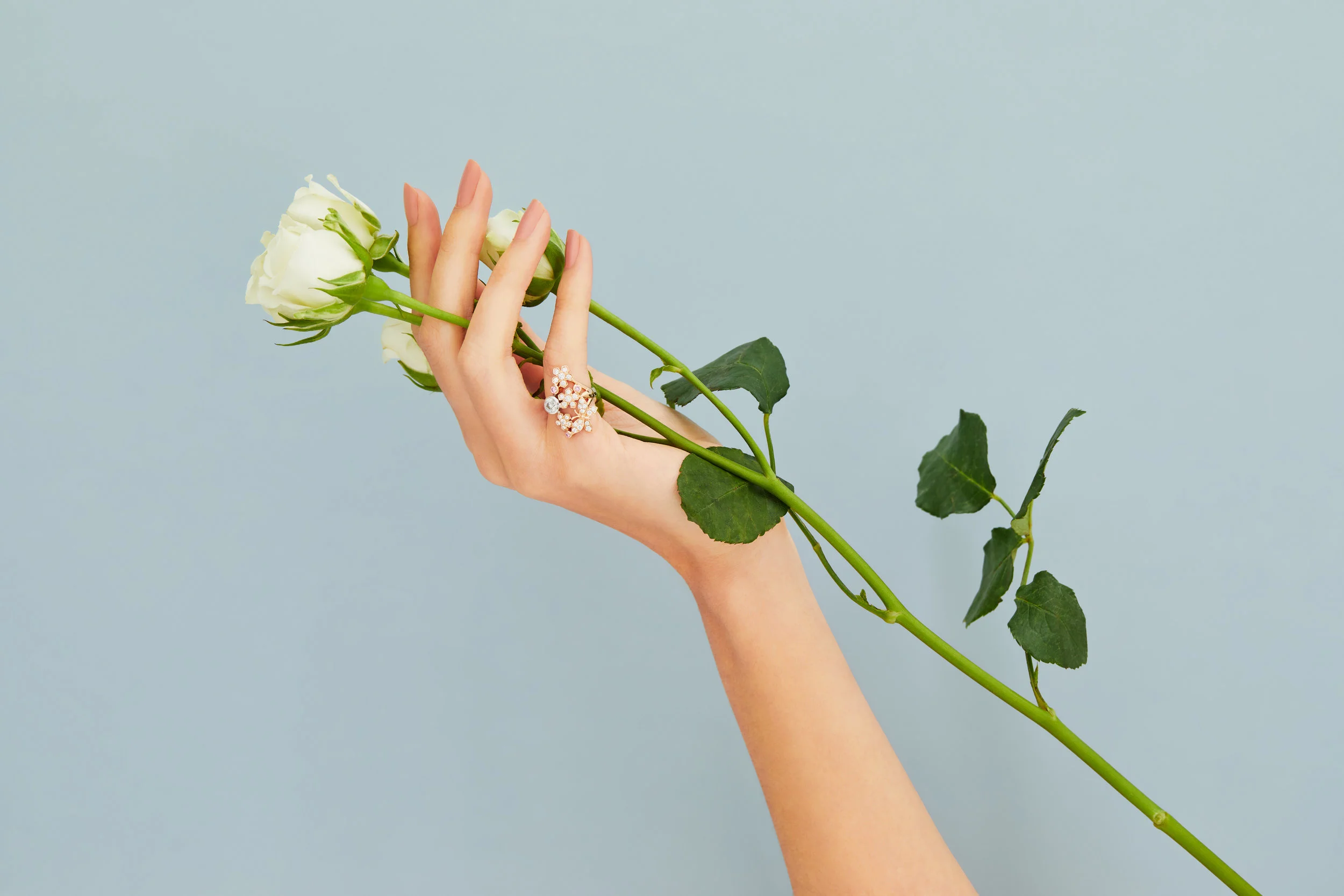 Floral-Ring-Blue_048+.jpg