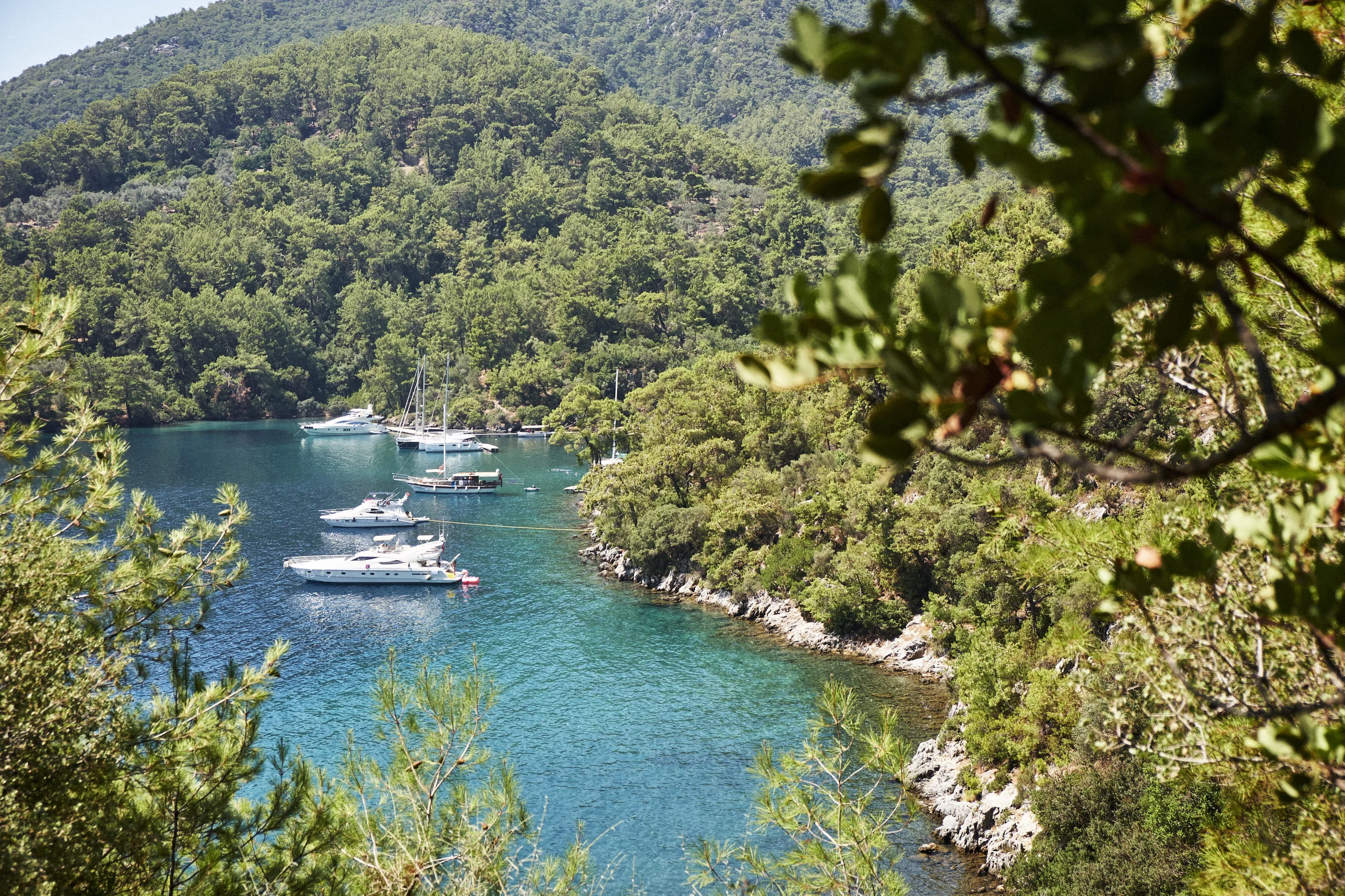 FUJI-Turkey-Aug-2017-_DSF3247-.jpg