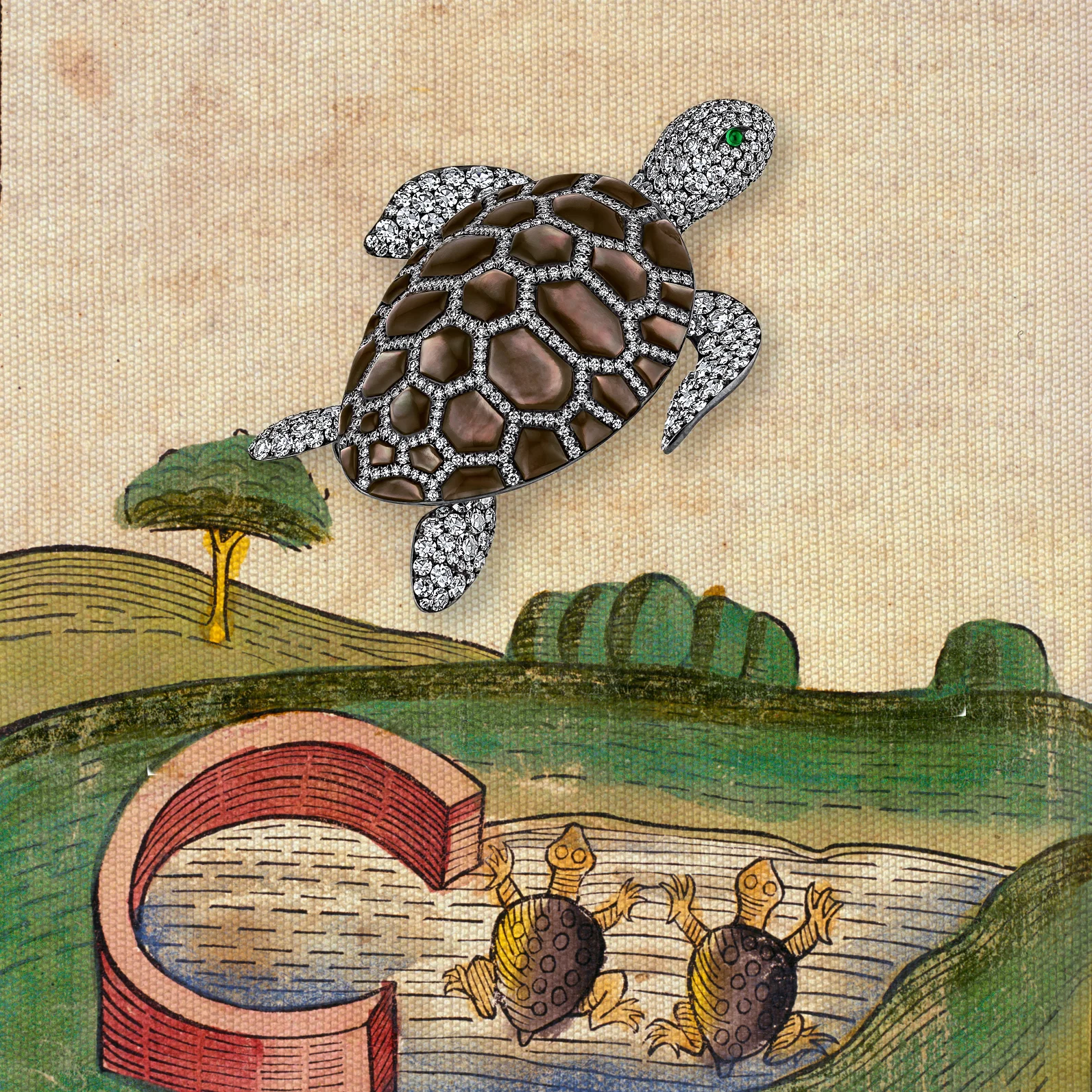 A Turn of Turtles