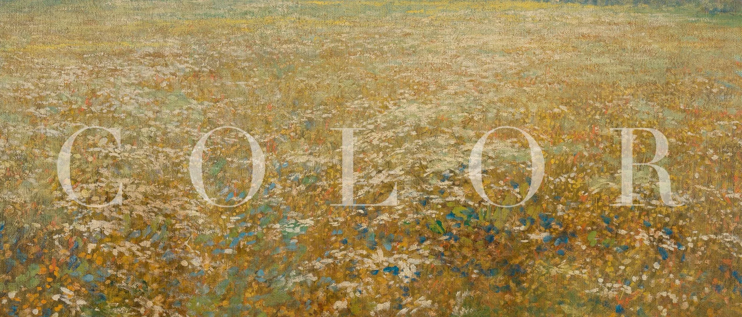 Fall-Colors-still.jpg