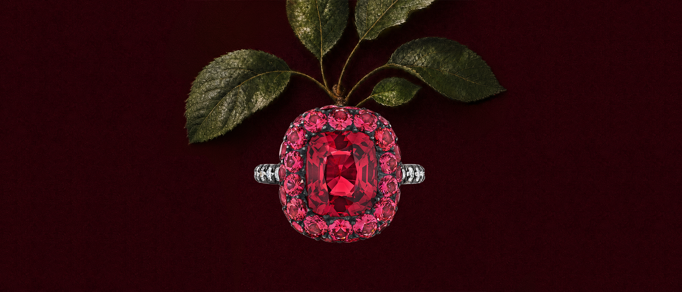 fw26_interior_08_Ring_2250x965.png