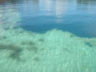 7185857.jpg