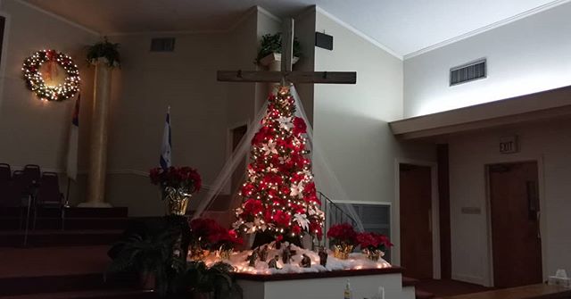 Our Sanctuary and Foyer trees are all decorated for the Christmas season. Merry Christmas, everyone!