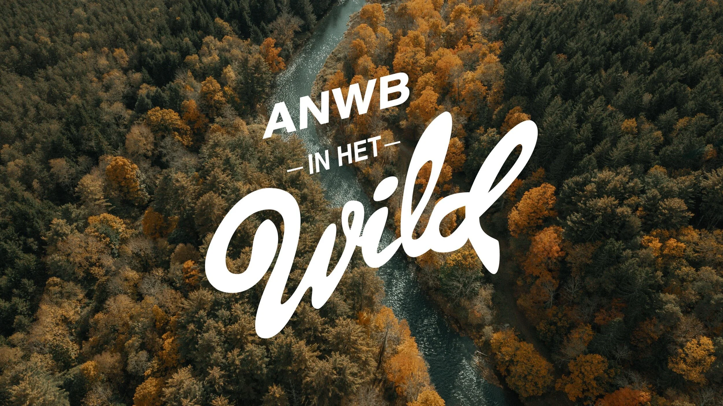ANWB in het wild.jpg