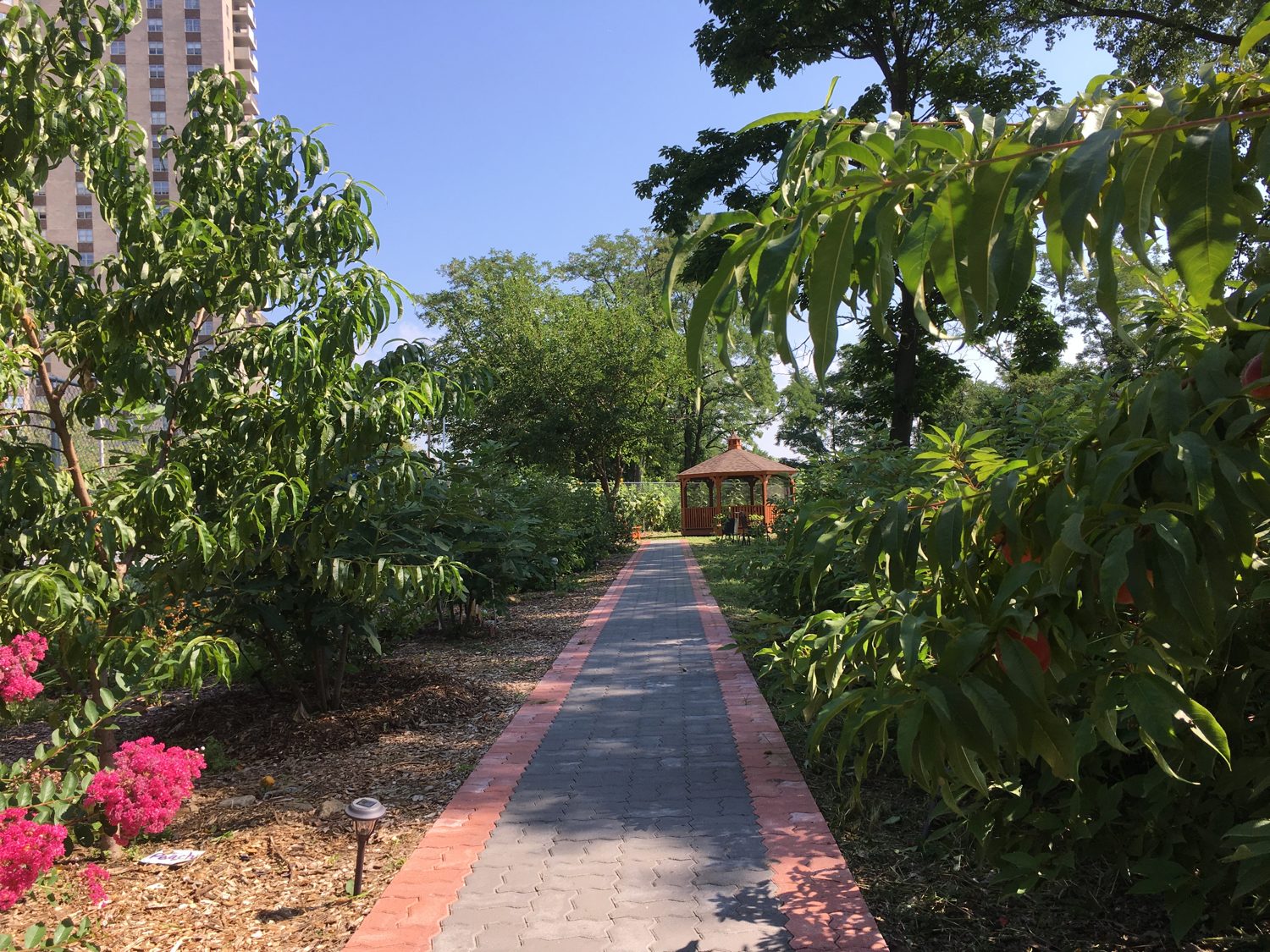 Rivers Run Community Garden, Bronx, NY