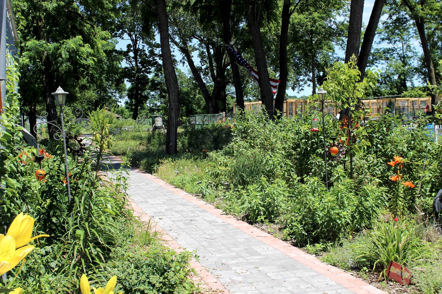 rrgarden_after5.jpg