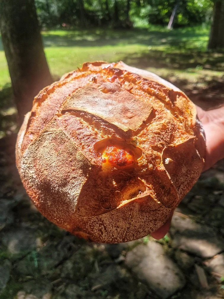 jalapeno cheddar.jpg