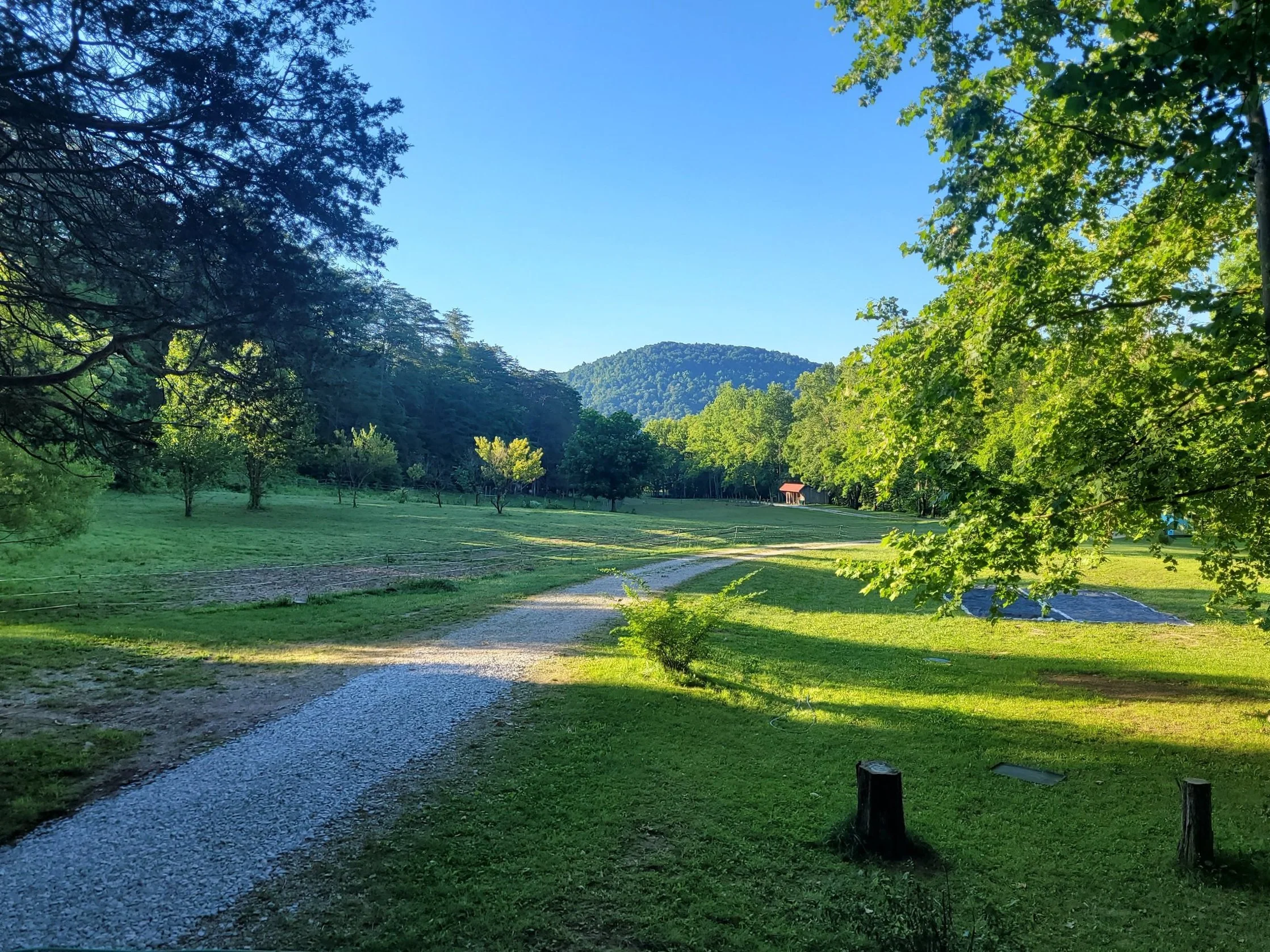 2024-06-13 08.06.46.jpg