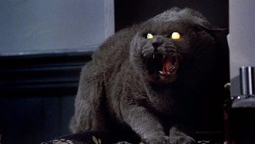 PET SEMATARY and the Perils of Parenthood&nbsp;