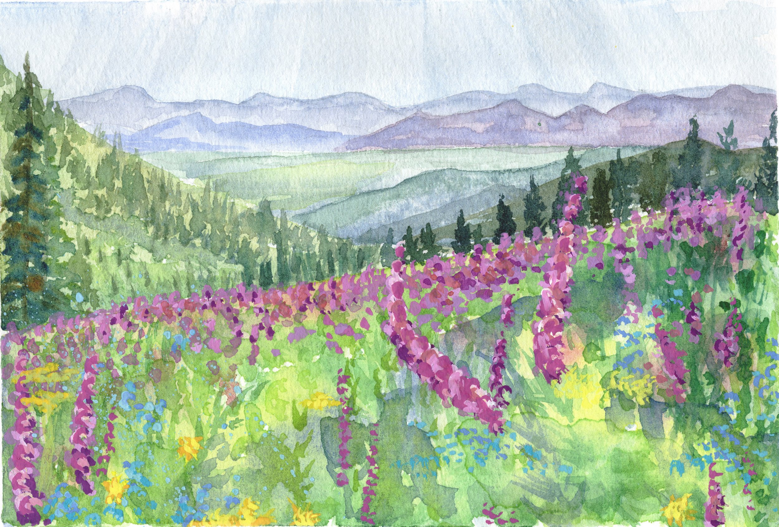 5_pass wildflowers_no border.jpg