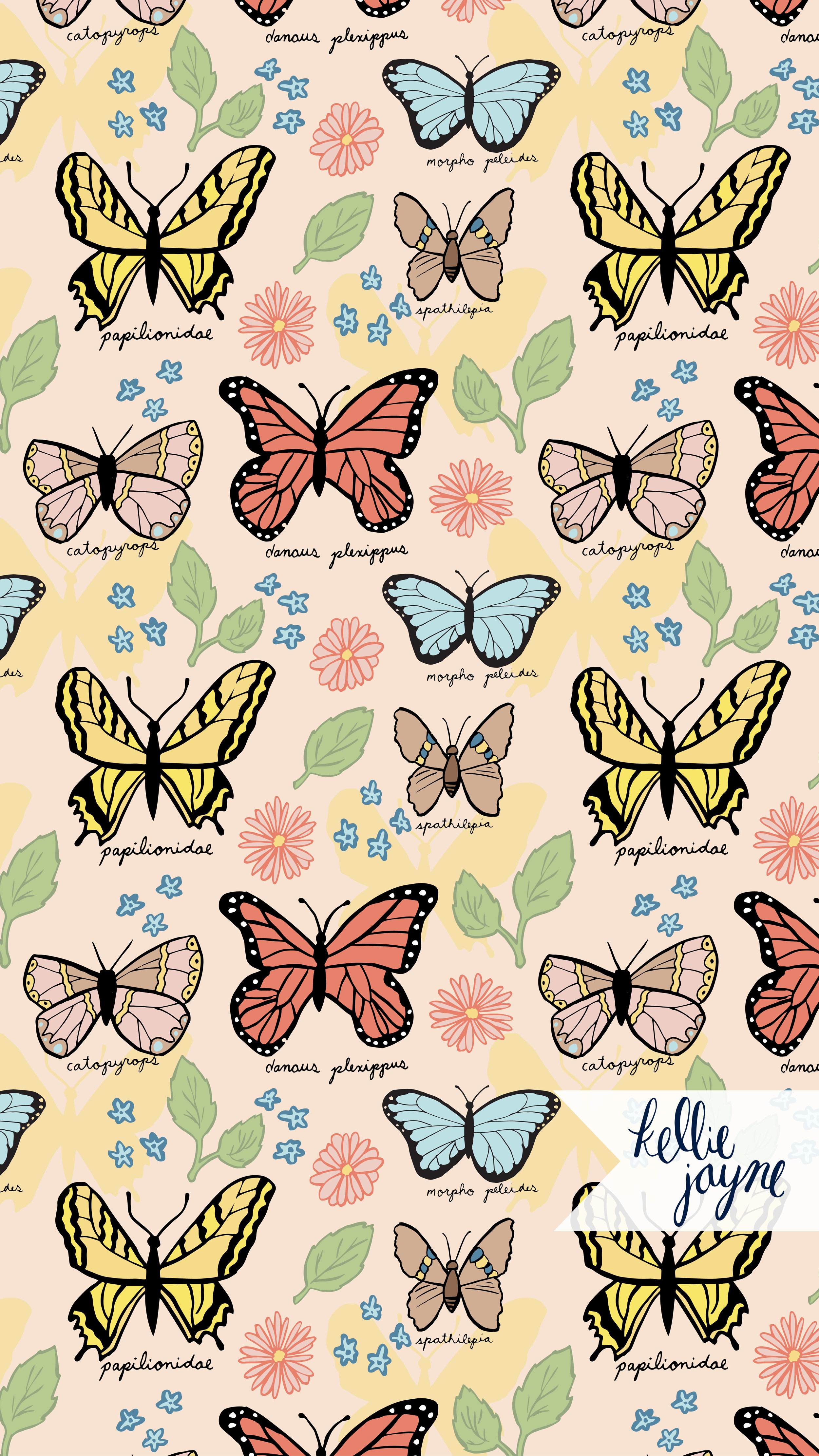 Backgrounds-04.jpg