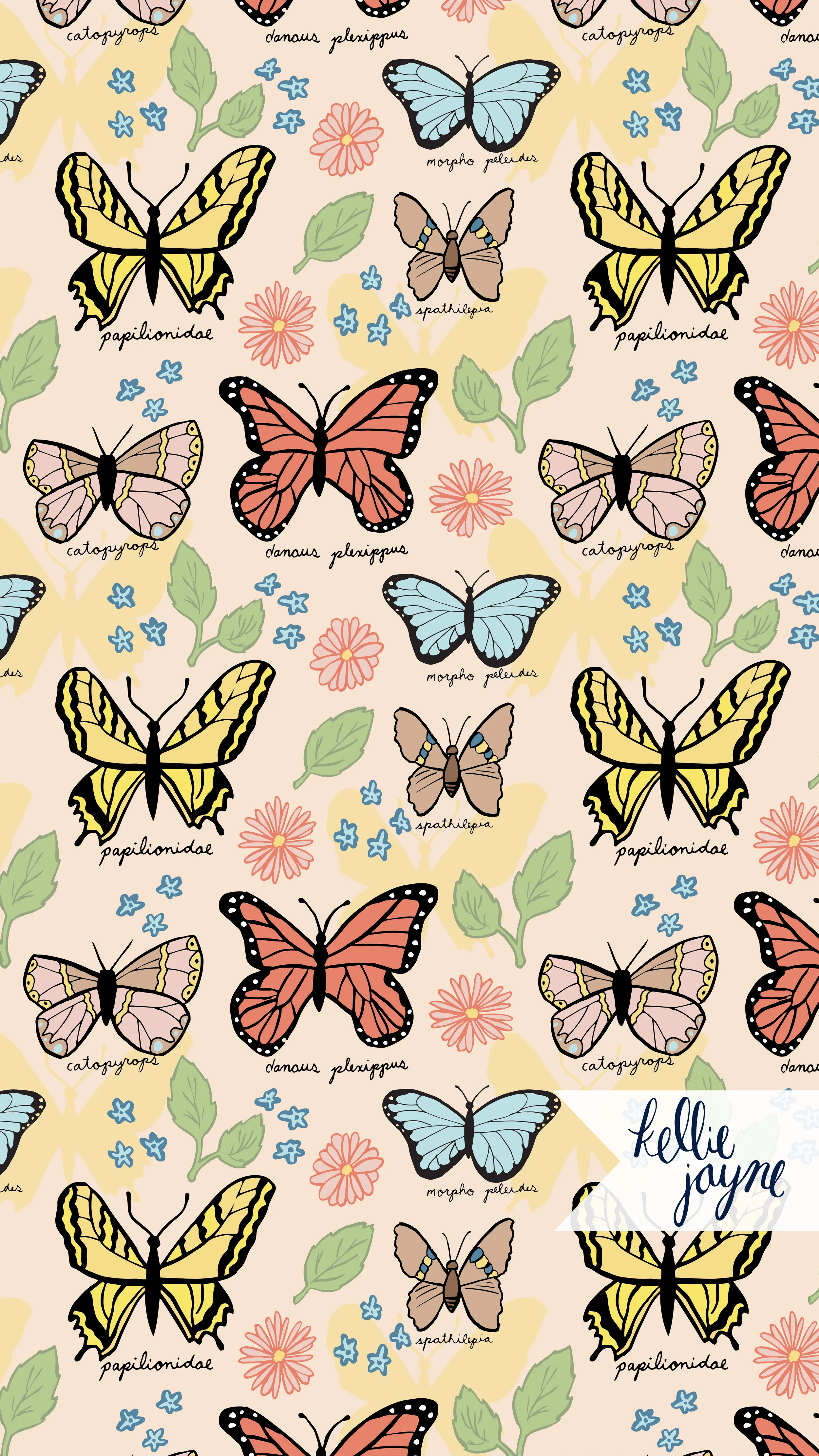 Backgrounds-04.jpg