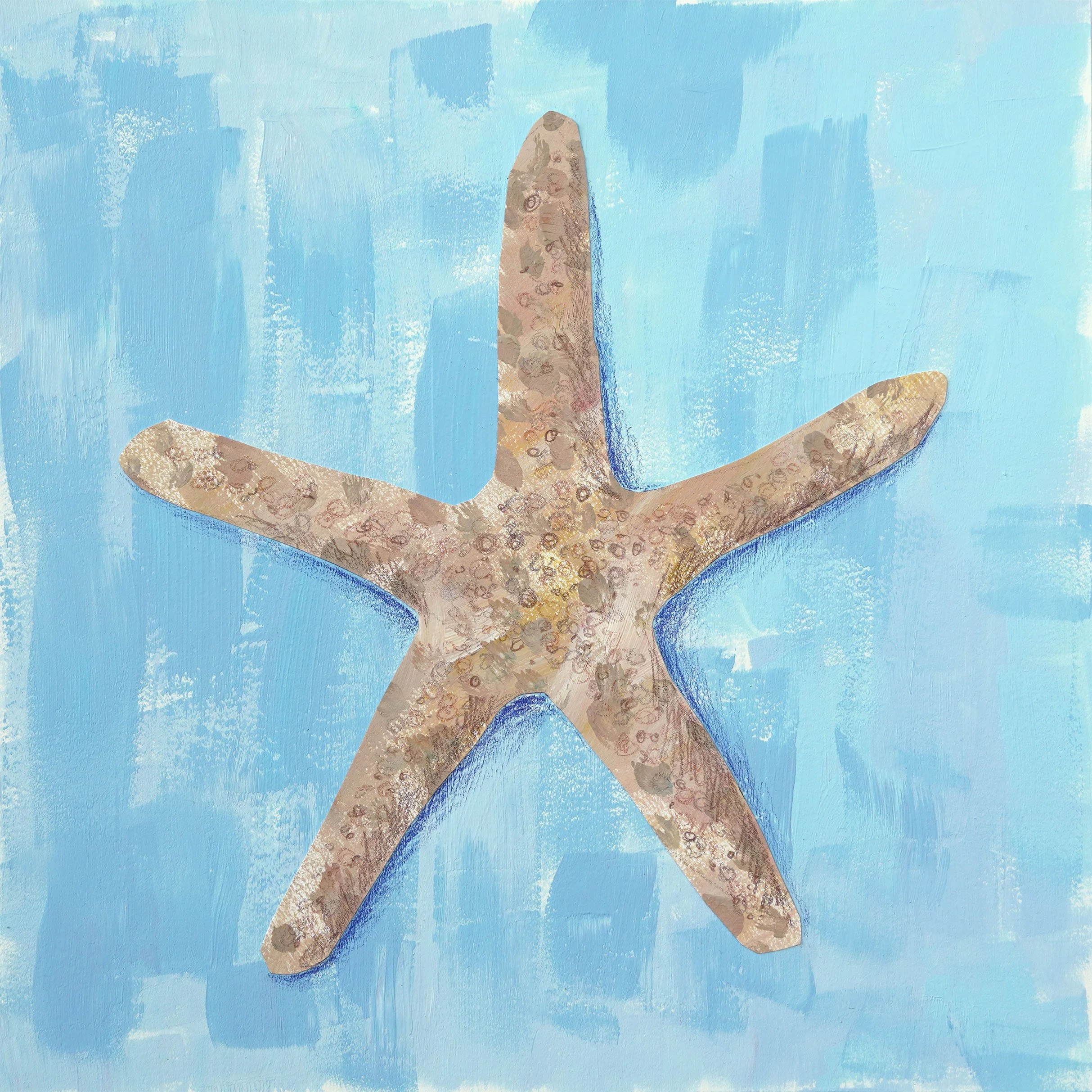 Starfish.jpg
