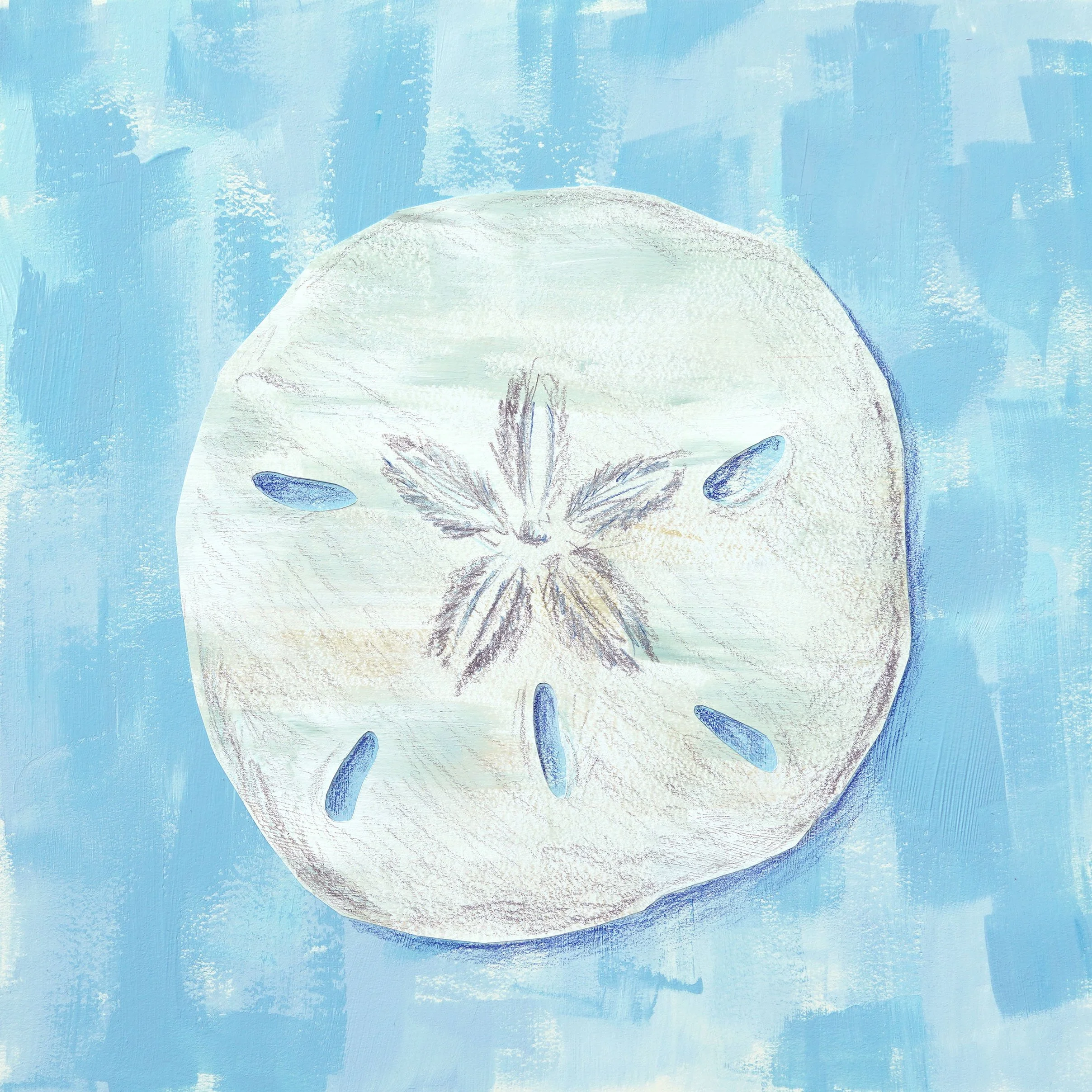 SandDollarattempt1.jpg