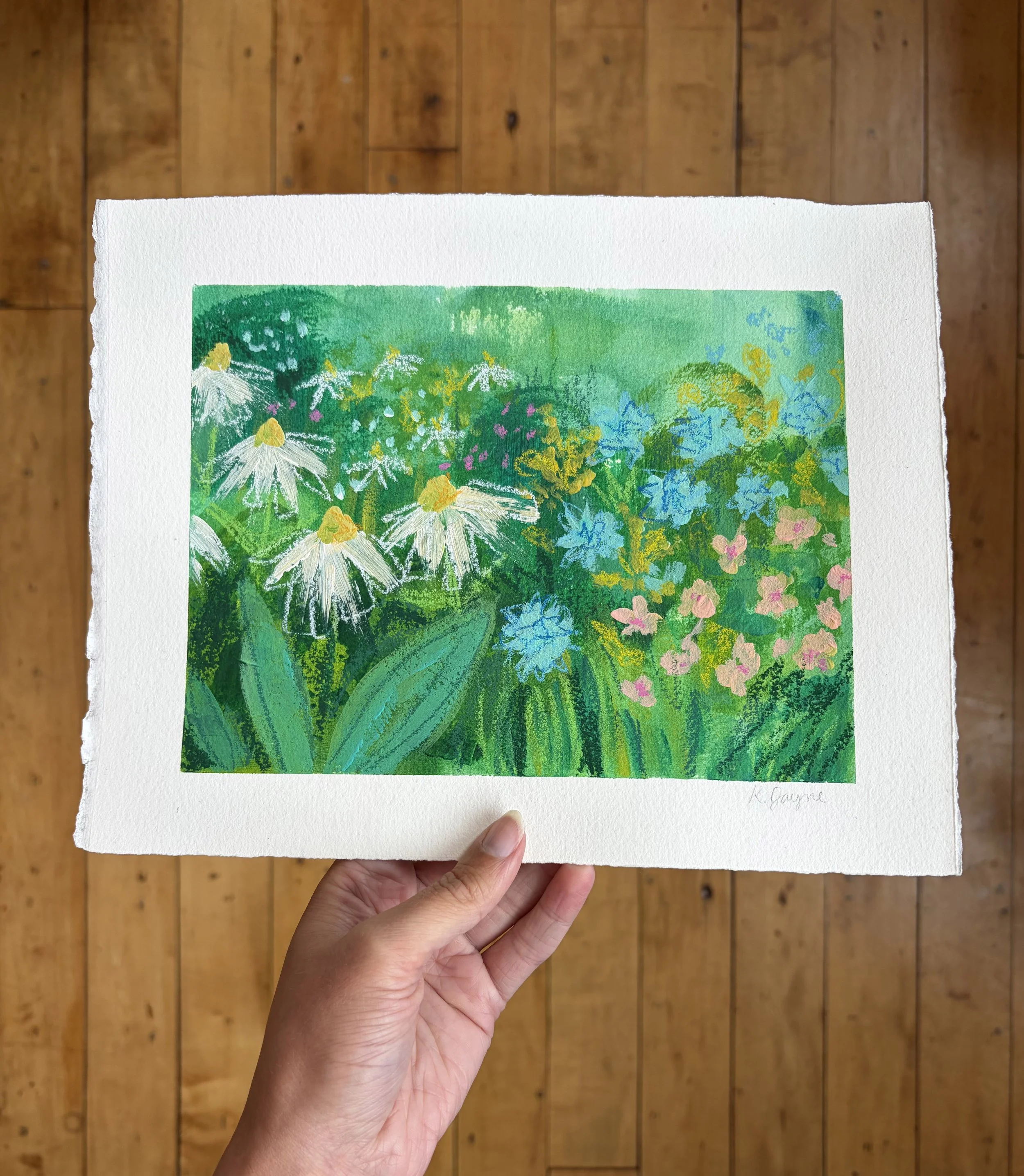 Wild-Meadow-1.jpg
