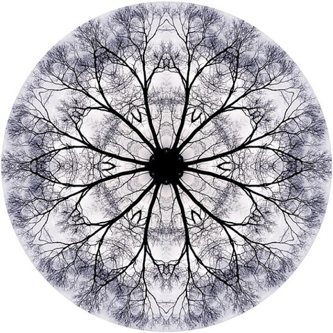 generative.jpg