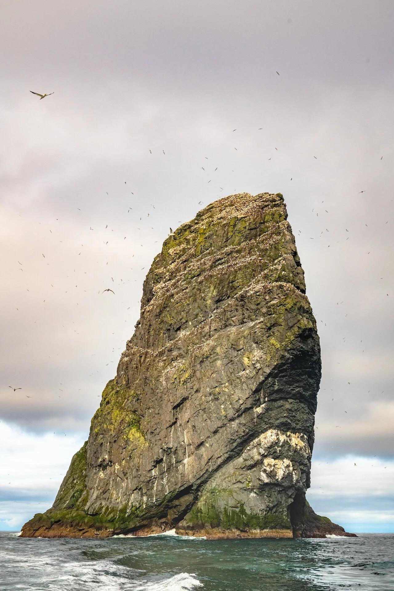 Stac Lee, off St Kilda.