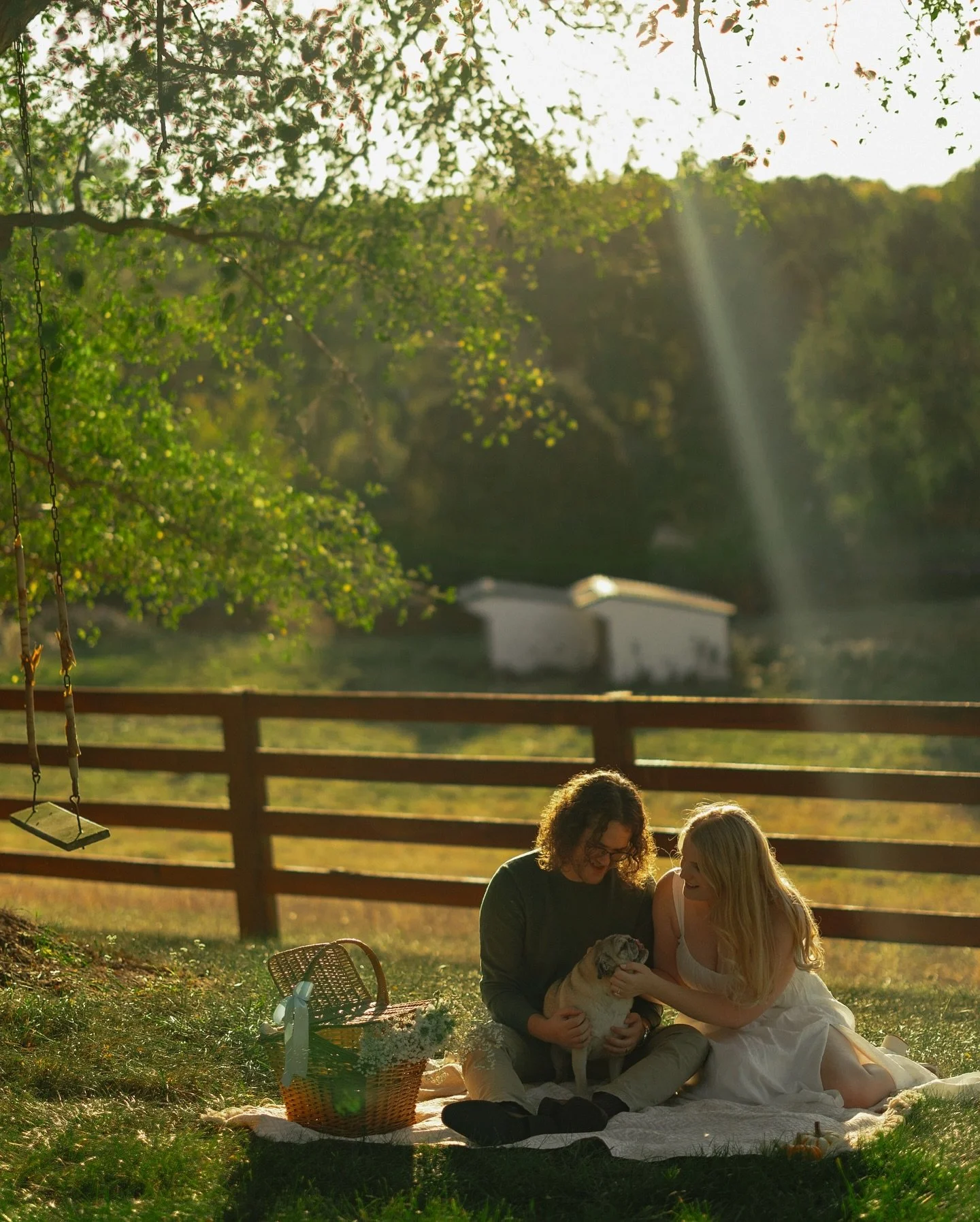 stardew IRL ⭐️🐴🌾☀️🐈🍰🧺🐄🌲