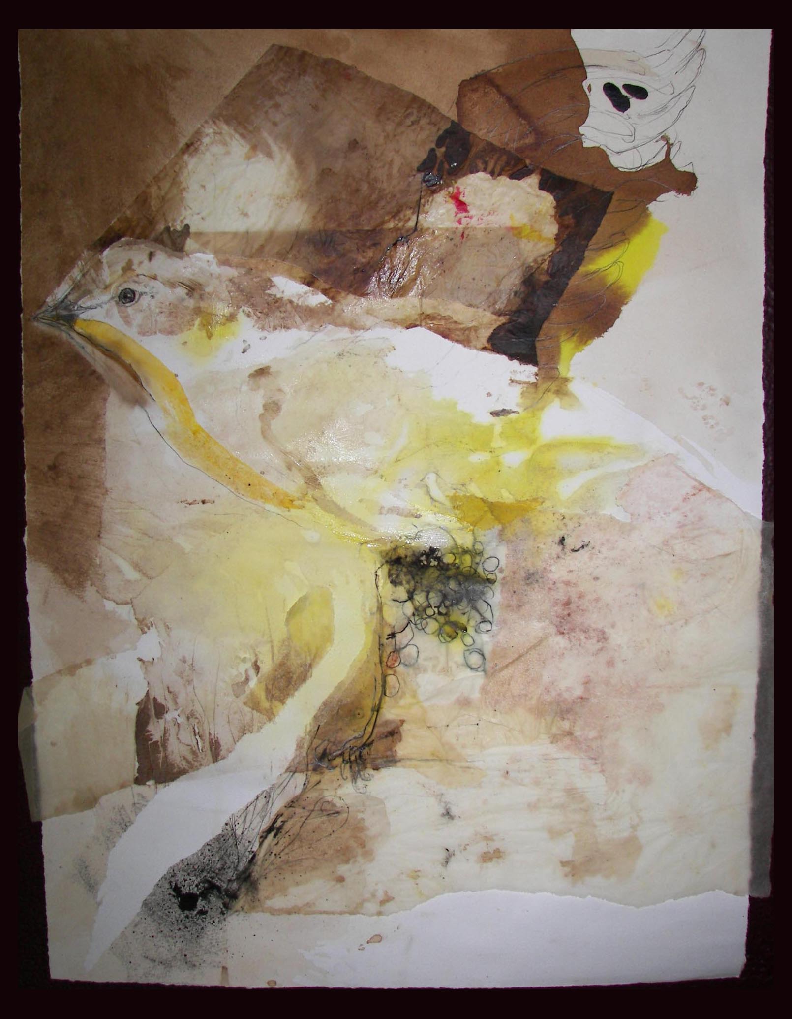 Yellow Breasted