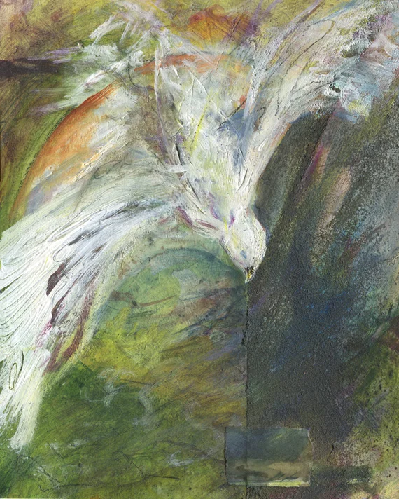 Dove