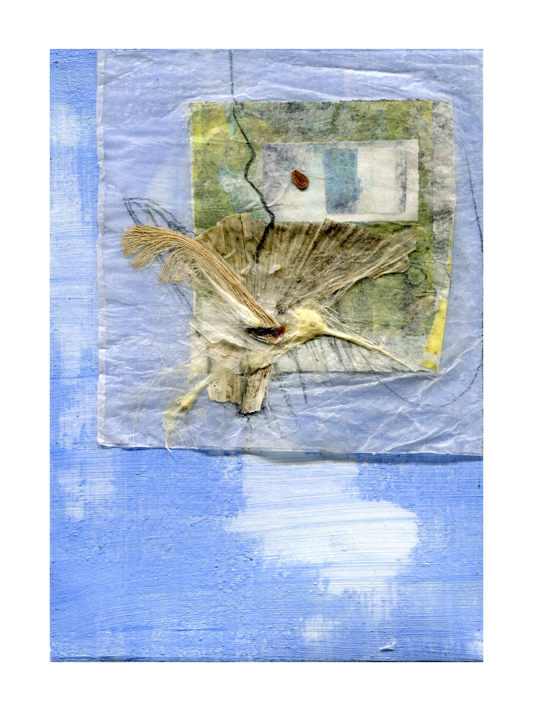 HummingbirdStilled6x8.jpg