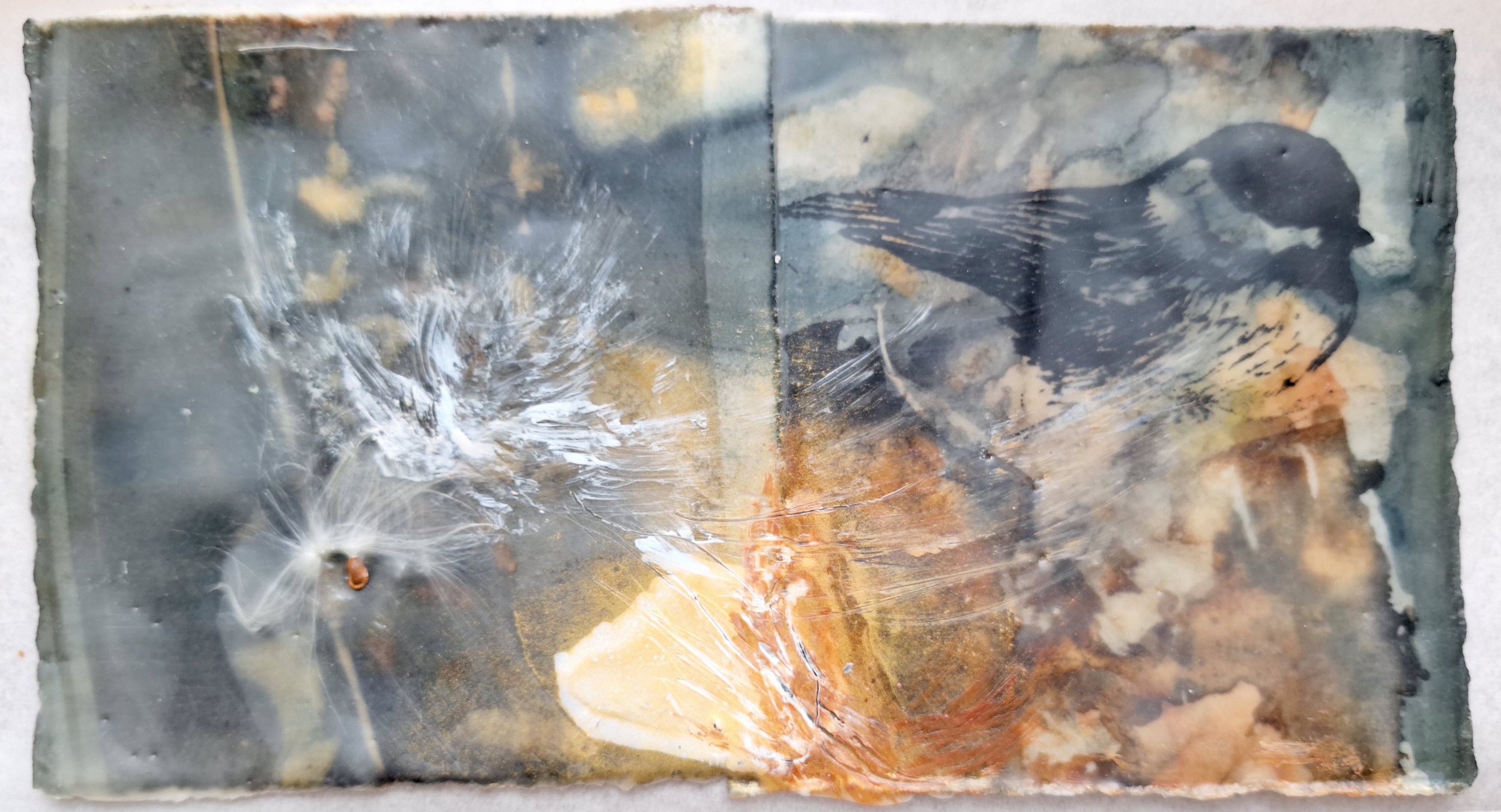 Milkweed Pod

 

 encaustic and oil stick on print on Reeves  7” x 9”  2025   