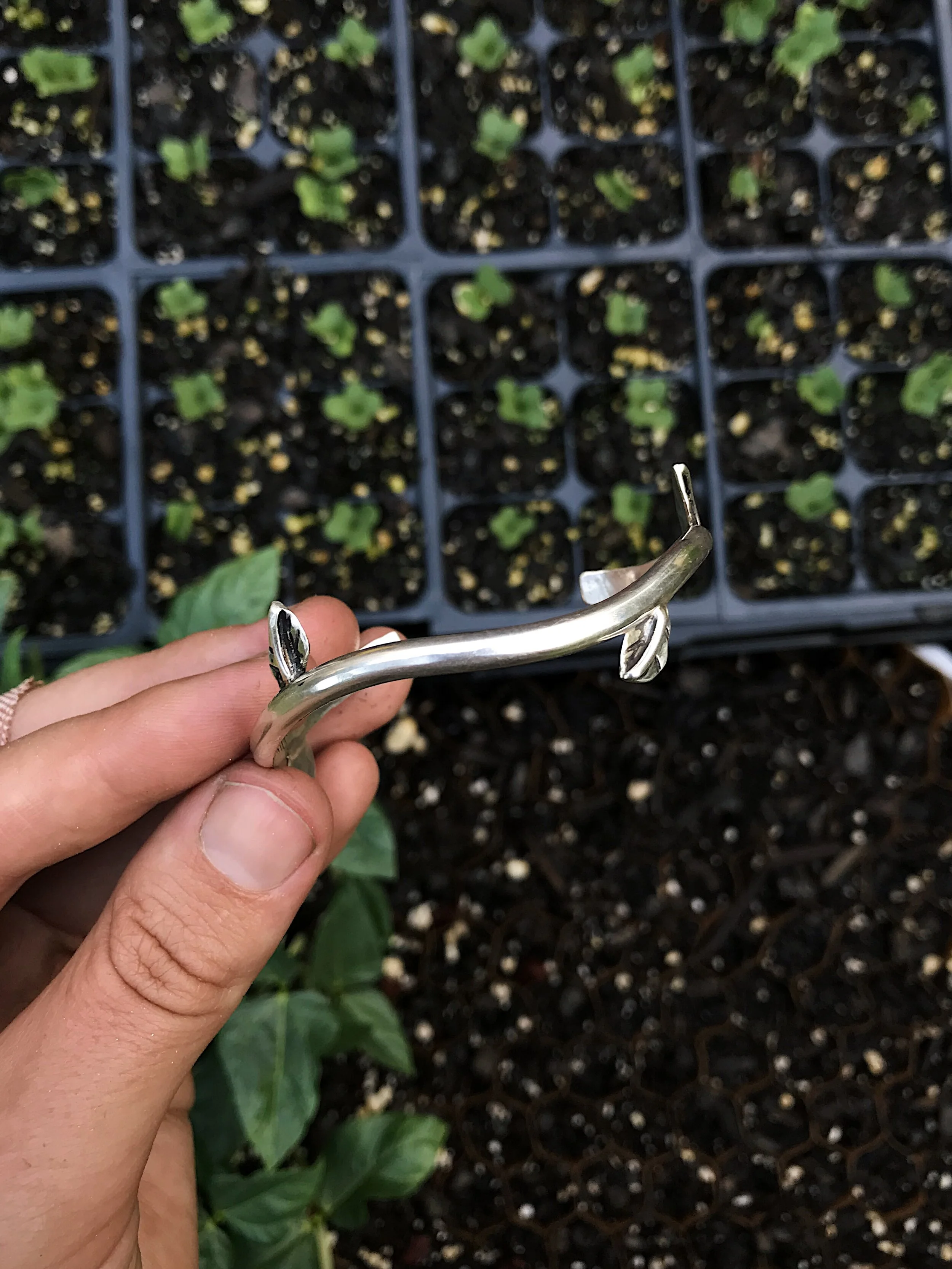 085A2DC4-89E5-41BE-AB1C-A8864097713C