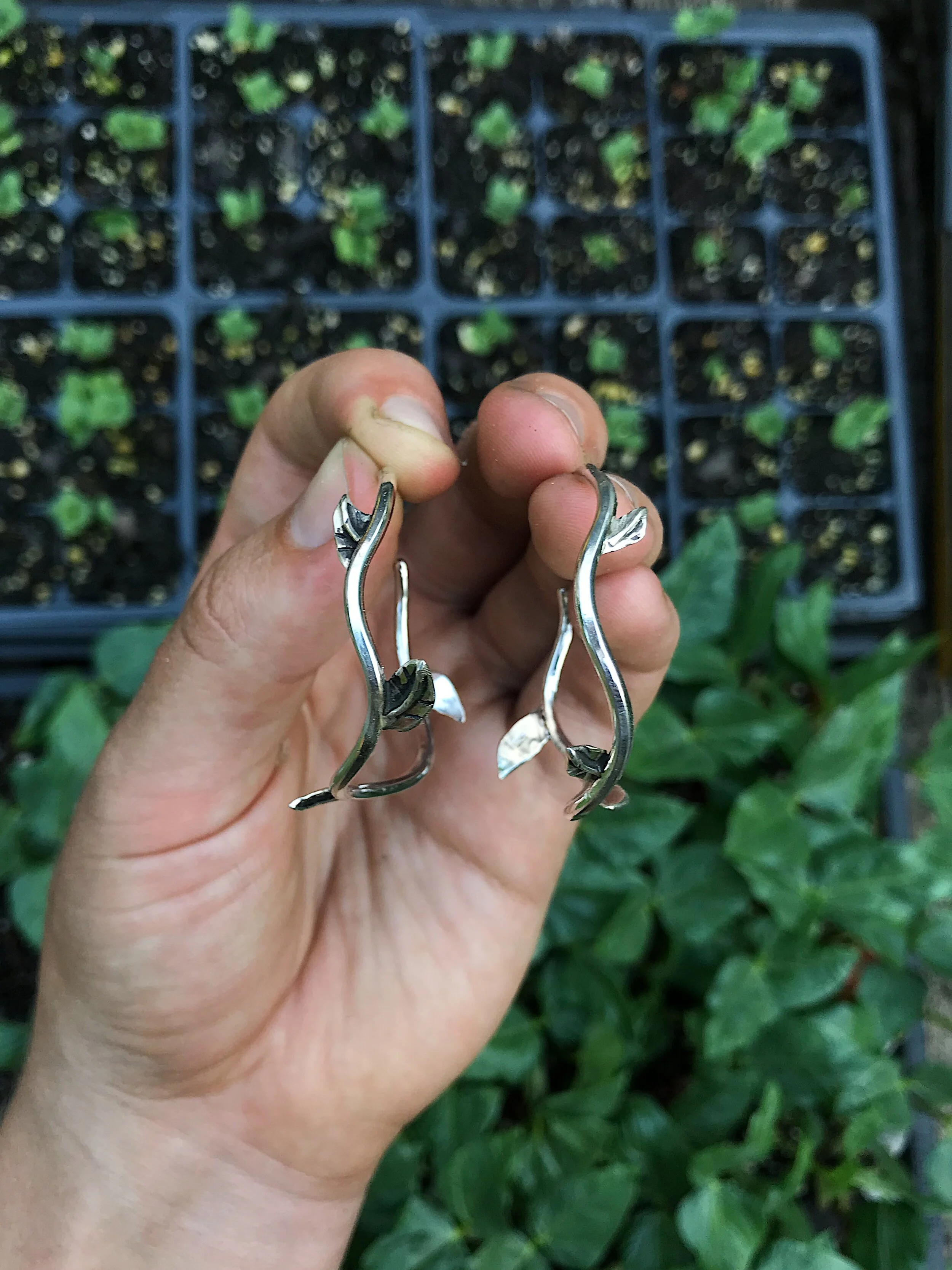 9F5BEF34-37ED-4DEA-B0B5-F646529014D2