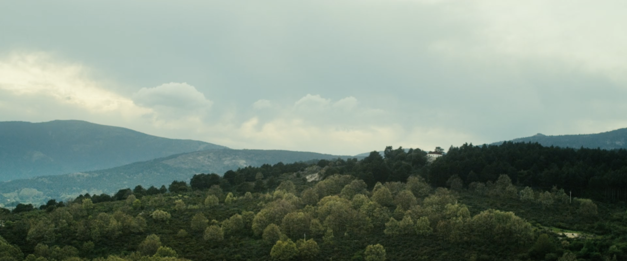 Captura de pantalla 2021-01-14 a las 13.32.32.png